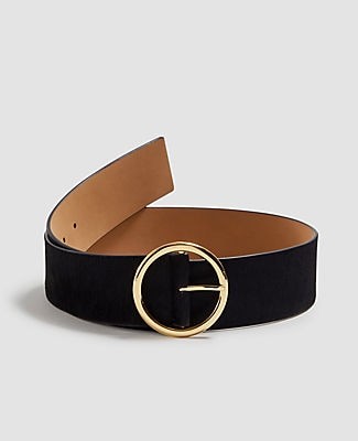 ann taylor belts