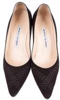 Thumbnail for your product : Manolo Blahnik Embroidered Suede Pumps