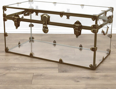 Rhino Trunk and Case Acrylic Accent Trunk