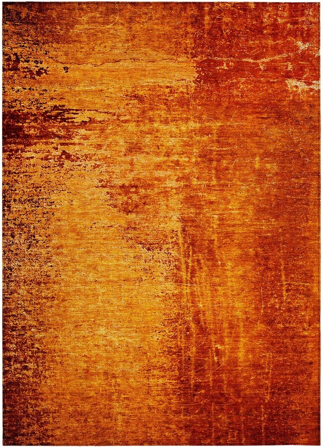 Addison Rugs Chantille Polyester Indoor/Outdoor Washable Rug