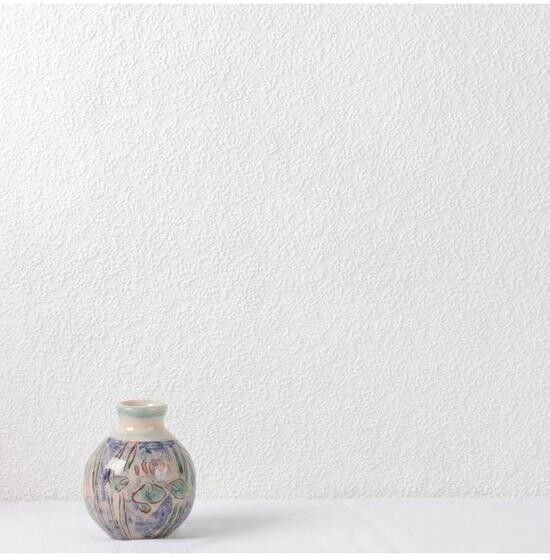 Wall Doctor Ceiling Stipple Paintable Wallpaper ShopStyle