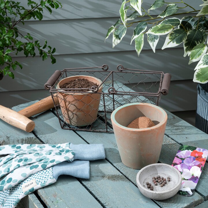 Taylors Bulbs Terracotta and Wire Grow Your Own Planter Orange