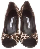 Thumbnail for your product : Manolo Blahnik Animal Print Pumps