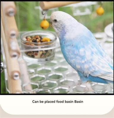 Luxury Parrot Cage - Specialized For Grey Parrots, Tiger Skins, Phoenix, And Peony Birds