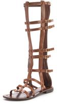 Thumbnail for your product : Carvela Krown Knee High Gladiator Sandals