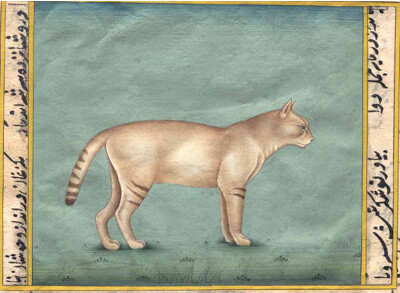 Bungalow Rose Felir Chaus Cat With Manual Calligraphy On Both Sides | Water Color On Old Urdu Paper