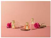 Thumbnail for your product : Acqua di Parma Rosa Nobile Shimmering Oil