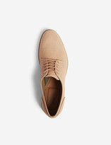 Thumbnail for your product : Aldo Zeviel leather Derby shoes