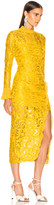 Thumbnail for your product : Alexis Fala Dress in Gold Lace | FWRD