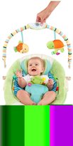 Thumbnail for your product : Taggies Soothe-Me-Softly Bouncer - Flutterby