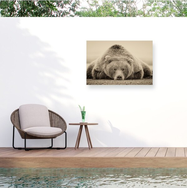 Trademark Fine Art - PHBurchett 'Deep Sleep' Outdoor All-Weather Wall Decor -