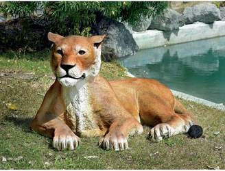 XoticBrands 55"w Large Lion Wildlife Animal Home Garden Statue Sculpture Figurine