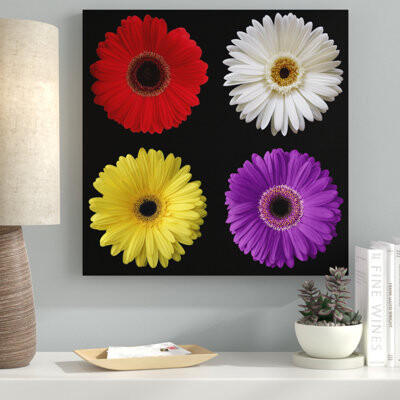 Ebern Designs 'Gerber Group 2' Photographic Print on Wrapped Canvas