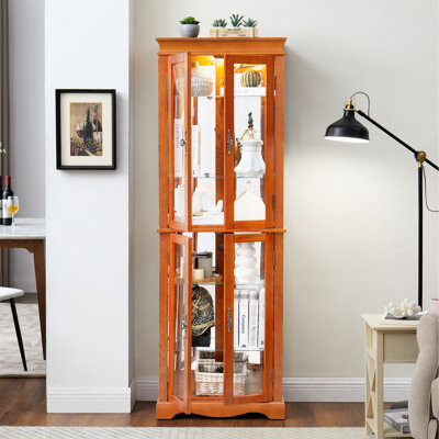 Red Barrel Studio Glass Cabinet With Vintage Handle And Customizable Storage Kitchen Display Exquisite Aesthetic Illuminated Interior