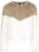 Thumbnail for your product : Dondup Contrast Fur Jacket