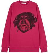 Givenchy Rottweiler 