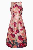Thumbnail for your product : Next Womens Pink Jacquard Border Print Dress