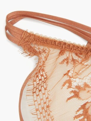 Agent Provocateur Tanya Lace And Tulle Briefs - Gold Multi