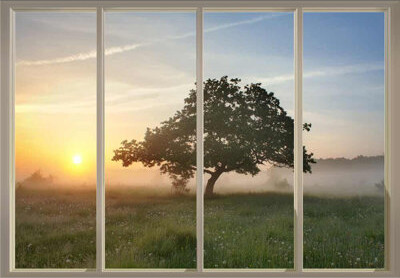 IDEA4WALL Lone Tree on a Foggy Prairie Field as the Sun Rises Paintable Wall Mural