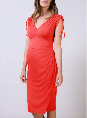 Isabella Oliver Canbury Maternity Dress