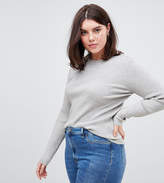 Thumbnail for your product : ASOS Curve DESIGN Curve ribbed sweater in fine knit