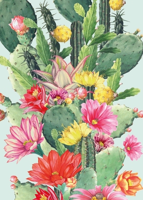 Matthew Williamson Pack of 6 Cactus Flower Print Greeting Cards