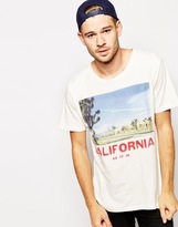 Thumbnail for your product : Selected T-Shirt With Cactus Print