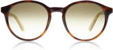 Thumbnail for your product : Tommy Hilfiger 1389/S Sunglasses Havana / Beige QTFCC 52mm
