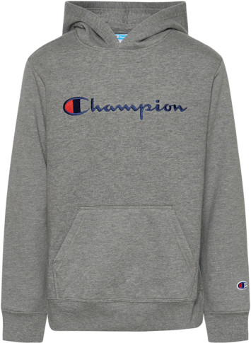 champion hoodie vibes