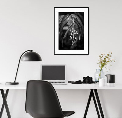 Robin Riley Photography Rain Forest Lily - Picture Frame Photograph on Paper