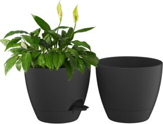 Latitude Run 2-Pack Of Self-Watering Planters 10-Inch Black Plastic Suitable For Both Indoor And Outdoor Use Includes Drainage Holes And A Matching Tray.