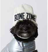 Thumbnail for your product : American Eagle American Beagle Outfitters Bone Zone Beanie