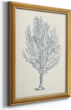 Highland Dunes Antique Coral Collection III Premium Framed Canvas- Ready To Hang