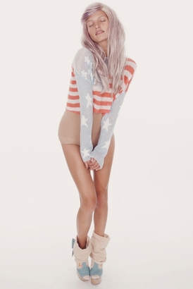 Wildfox Couture Born on the 4th of July Cropped Sweater in Hazy Blue