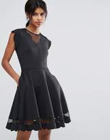 Thumbnail for your product : Ted Baker Mesh Paneled Scallop Dress