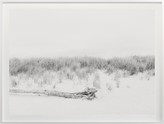 Thumbnail for your product : Design Within Reach Dunes No. 1420" by Cas Friese