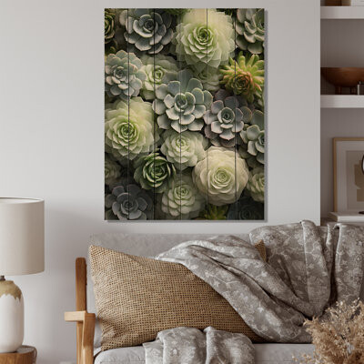 Dakota Fields Green Succulents Flowers Serene Succulents II On Wood Print