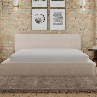 Alwyn Home Snow Cooling Waterproof Mattress Protector