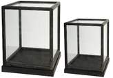 Thumbnail for your product : A&B Home Set of 2 Glass and Wood Display Boxes - 17.5" and 19"