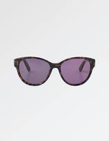 Thumbnail for your product : Fat Face Lucy Acetate Sunglasses