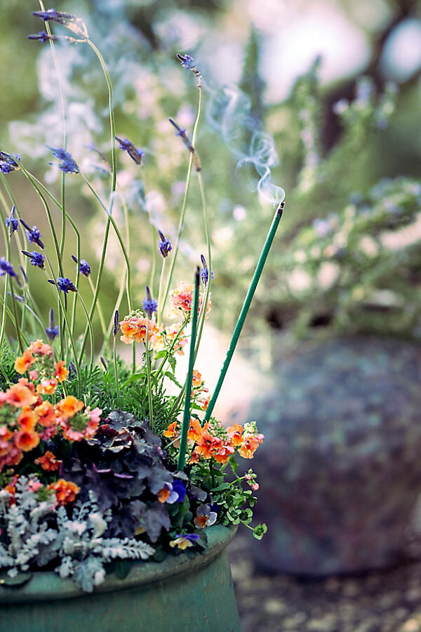 Citronella Garden Sticks at Terrain