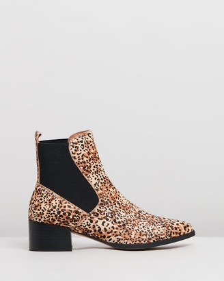 mollini ankle boots