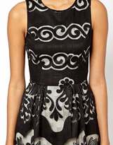 Thumbnail for your product : Warehouse Printed Lace Dress