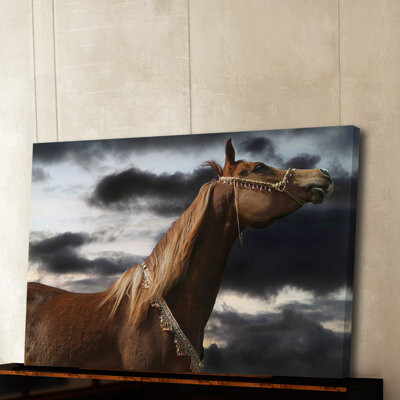 Marmont Hill 'Rehannah' by Maggie Dee Painting Print on Wrapped Canvas