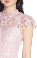 Thumbnail for your product : Ever New Ella Lace Fit & Flare Dress