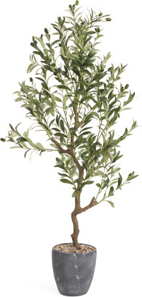 TJMAXX 54In Olive Tree In Cement Pot - ShopStyle Decor