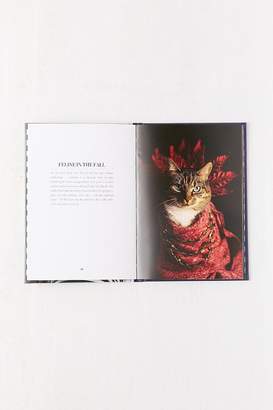 Urban Outfitters Cat Couture By Jason McGroarty