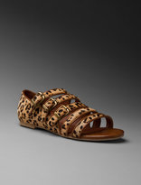 Thumbnail for your product : Jeffrey Campbell Cayman