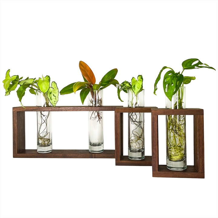Modern Botanical Brown Walnut Shasta Plant Wall Vase Set ShopStyle Decor