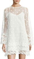 Thumbnail for your product : French Connection Posy Lace Long-Sleeve Flared Dress